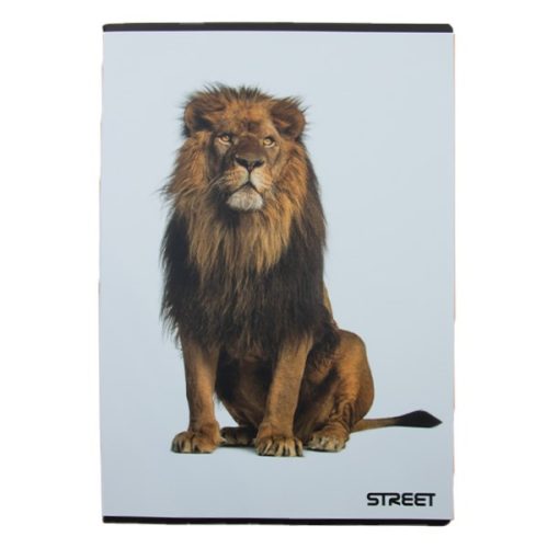 Füzet kockás STREET A/4 54 lapos Safari