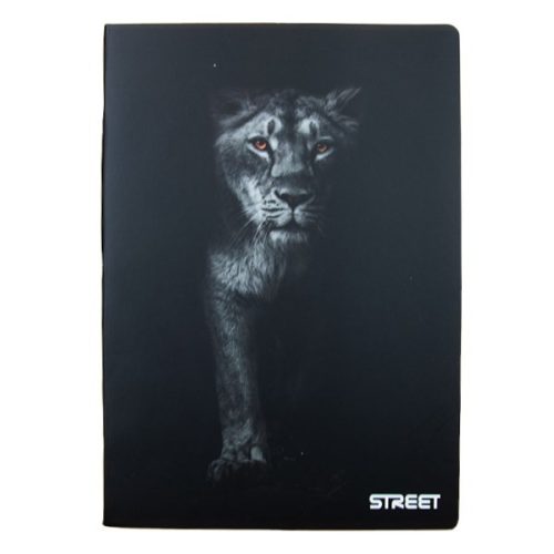 Füzet kockás STREET A/4 54 lapos Safari