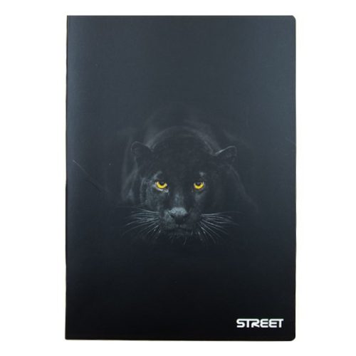 Füzet kockás STREET A/4 54 lapos Safari