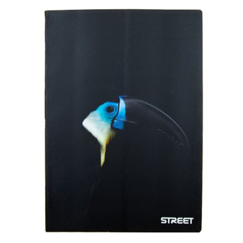 Füzet kockás STREET A/4 54 lapos Safari