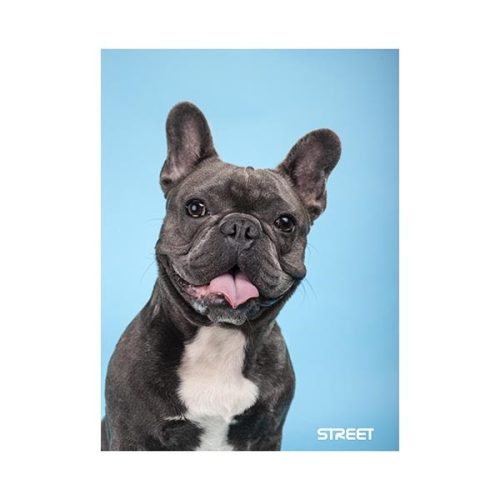 Füzet vonalas STREET A/5 54 lapos Friends margóval