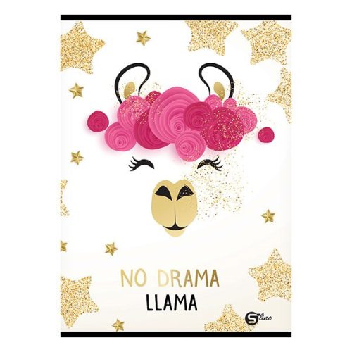 Füzet vonalas STREET A/4 52 lapos S-Line2