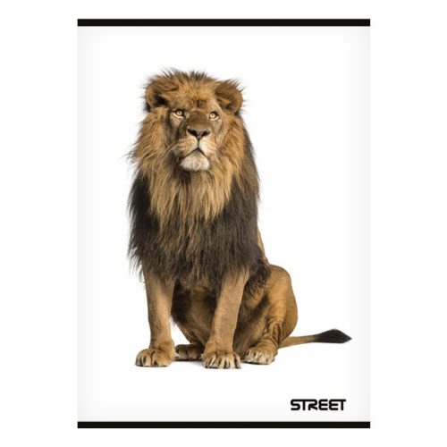 Füzet sima STREET A/4 54 lapos Safari