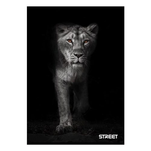 Füzet sima STREET A/4 54 lapos Safari