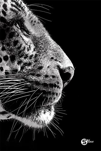 Beírókönyv vonalas STREET A/5 96 lapos S-Line keményfedelű vegyes mintákkal