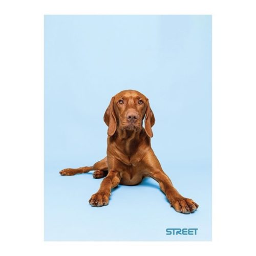 Füzet kockás STREET A/4 54 lapos Friends