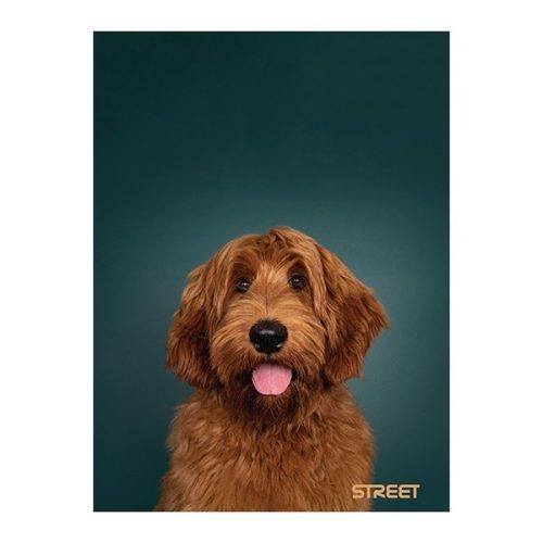 Füzet kockás STREET A/4 54 lapos Friends