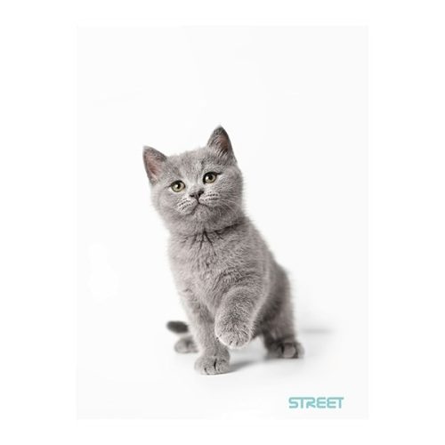 Füzet kockás STREET A/4 54 lapos Friends