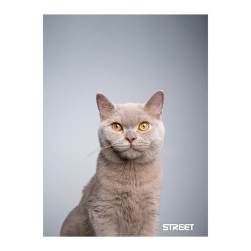 Füzet kockás STREET A/4 54 lapos Friends