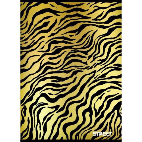 Füzet sima STREET A/4 54 lapos Treasure