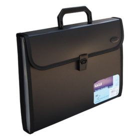 Irattartó táska EAGLE 12 rekeszes harmónikás A/4 fekete