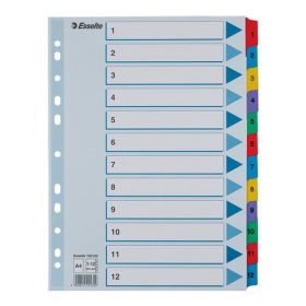 Regiszter ESSELTE Mylar A/4 laminált karton 1-12