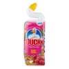 Toalett tisztító gél DUCK forest 750 ml