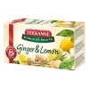 Gyümölcstea TEEKANNE World of Fruits gyömbér-citrom 20x2,5 g