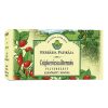 Herbatea HERBÁRIA csipkerózsa áltermés 25x3 g