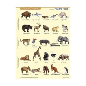   Tanulói munkalap STIEFEL A/4 vadon élő állatok + munkaoldal