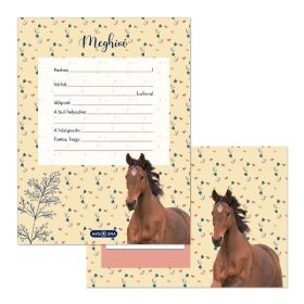 Partimeghívó ARS UNA 10 ív+10 db boríték Wild And Free