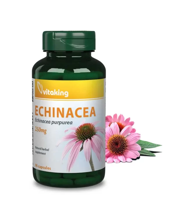 Vitaking Echinacea (Bíbor kasvirág) kivonat (90DB)