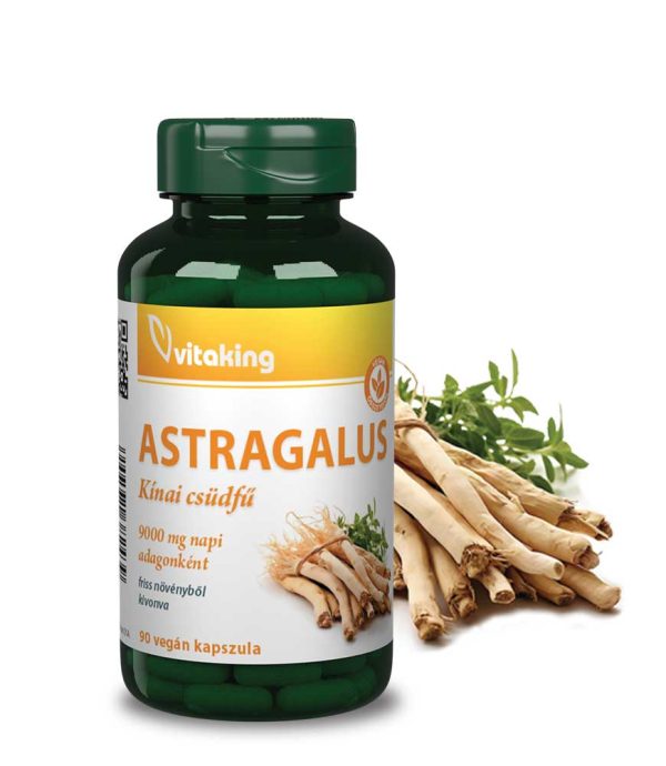 Vitaking Astragalus kivonat (90DB)